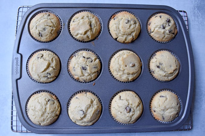 Overhead view of baked gluten free chocolate chip muffins in muffin pan.