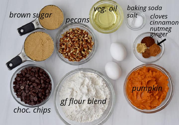 Overhead view of ingredients, with labels, for making gluten free chocolate chip pumpkin bread.