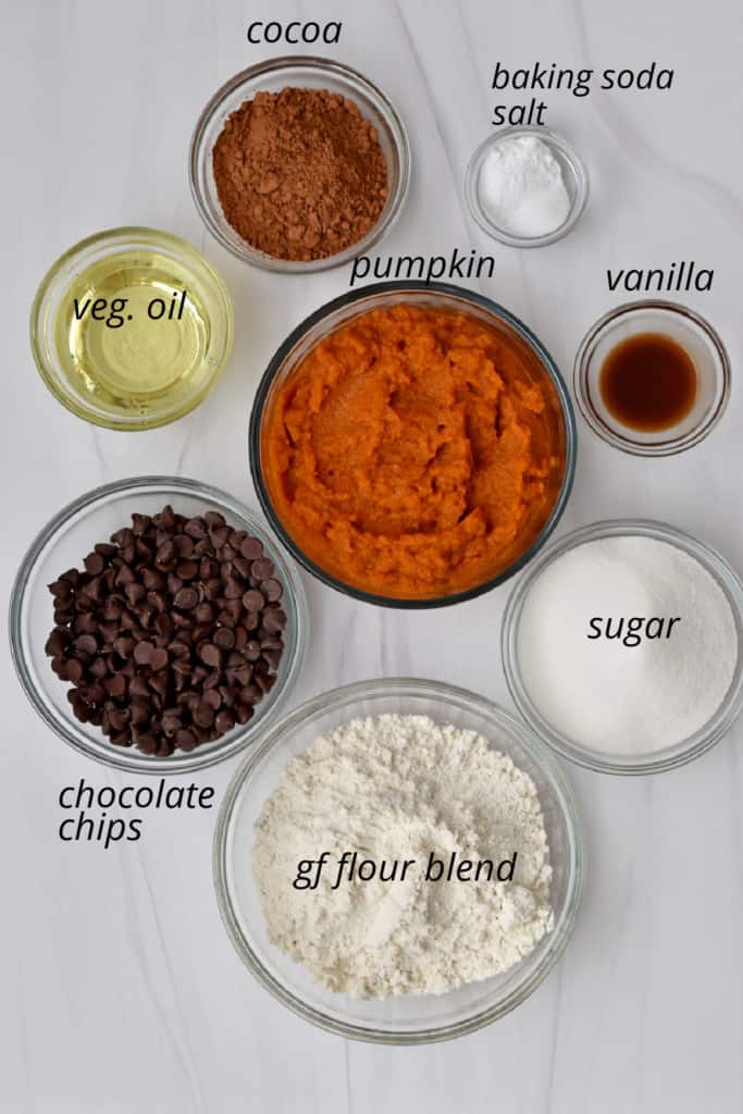 Overhead view of ingredients, with labels, for making gluten free pumpkin brownies.