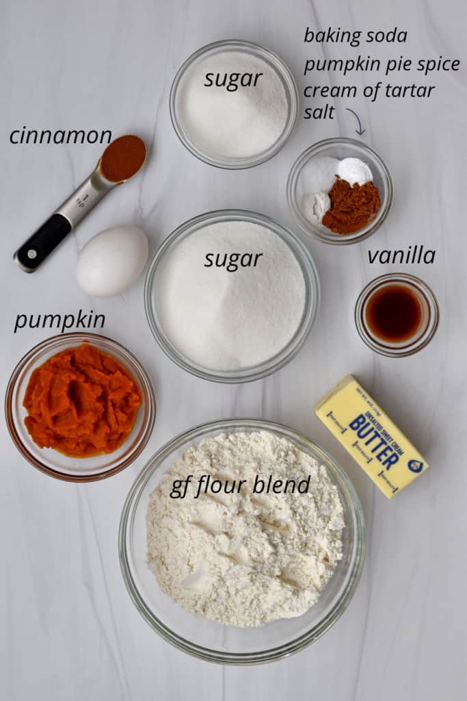 Overhead view of ingredients with labels for making gluten free pumpkin snickerdoodles.