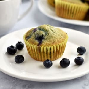 One gluten free blueberry muffin and some blueberries on a white plate.