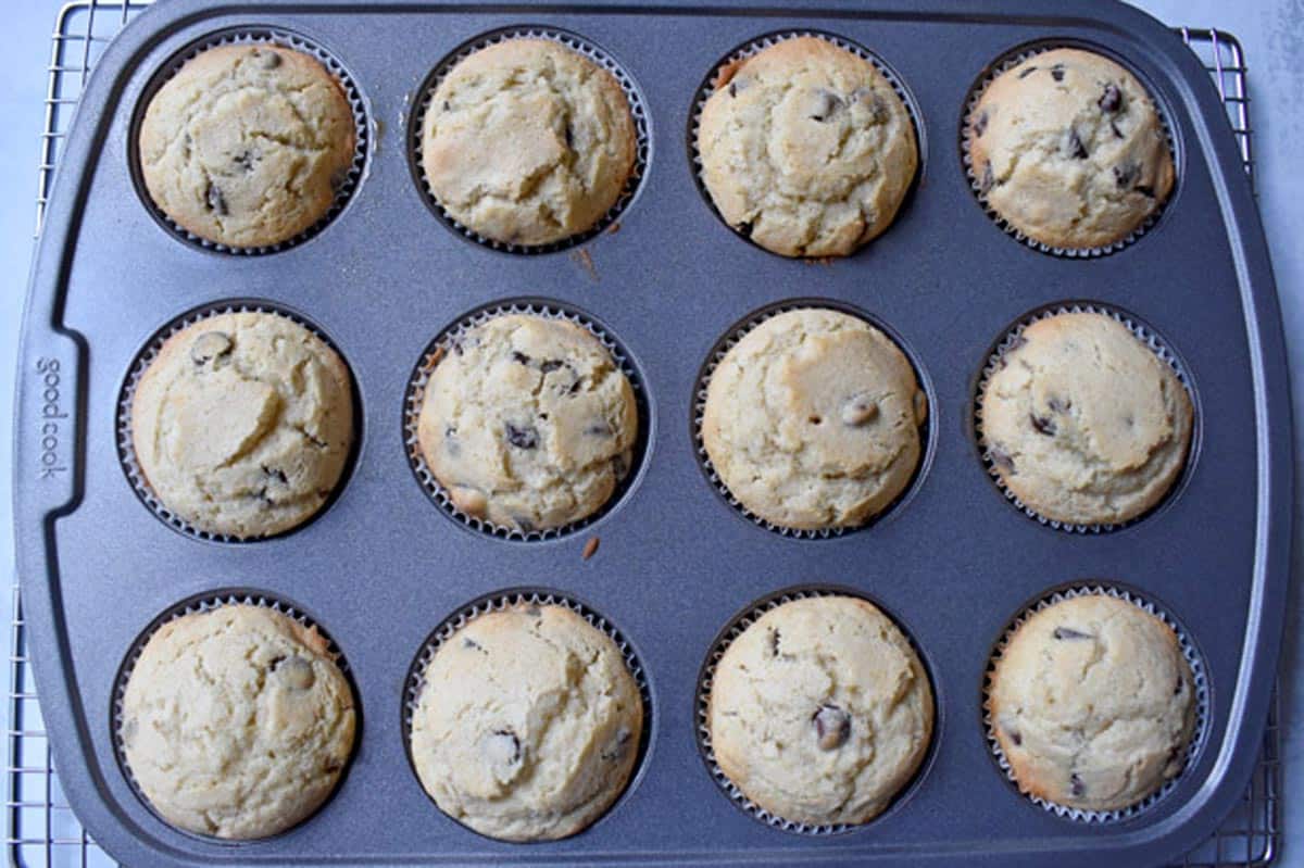 Baked gluten free chocolate chip muffins in muffin tin.