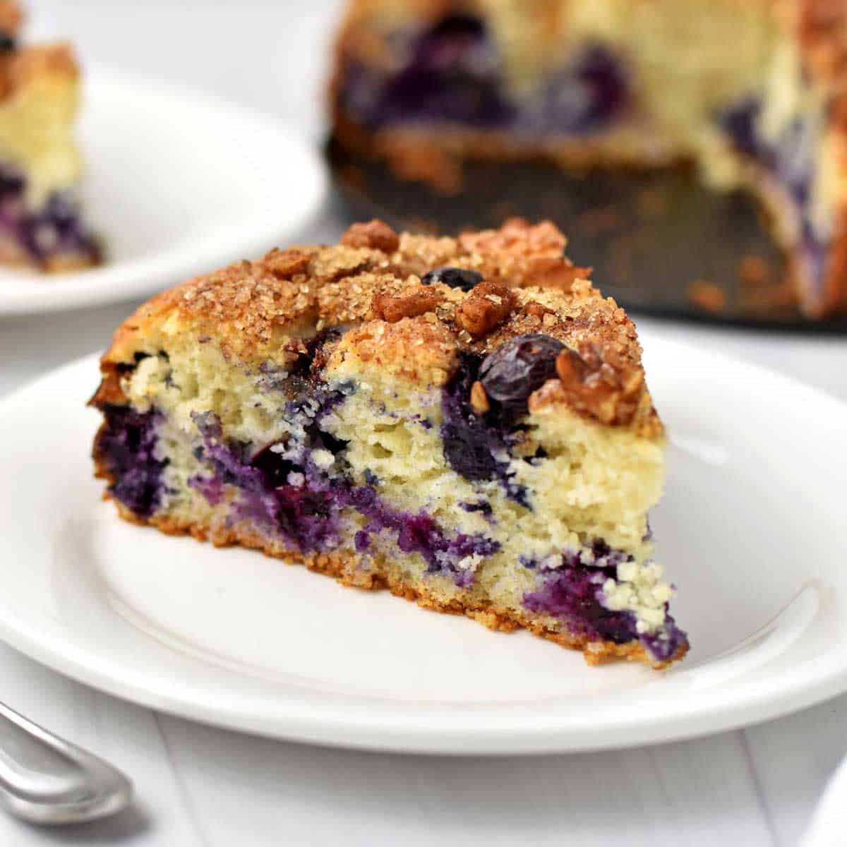 Poppy Seed Blueberry Cake - Home Cooking Adventure